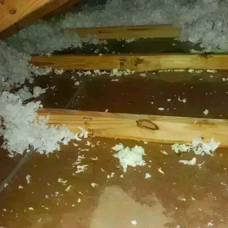 Attic Water Damage in Society Hill, NJ